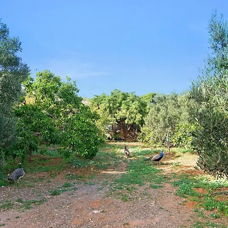 Casa Toscas Сasa de vacaciones Ingenio